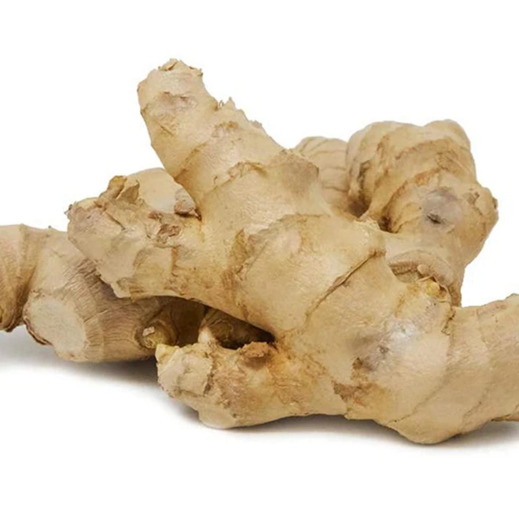 Ginger Bio PE KG