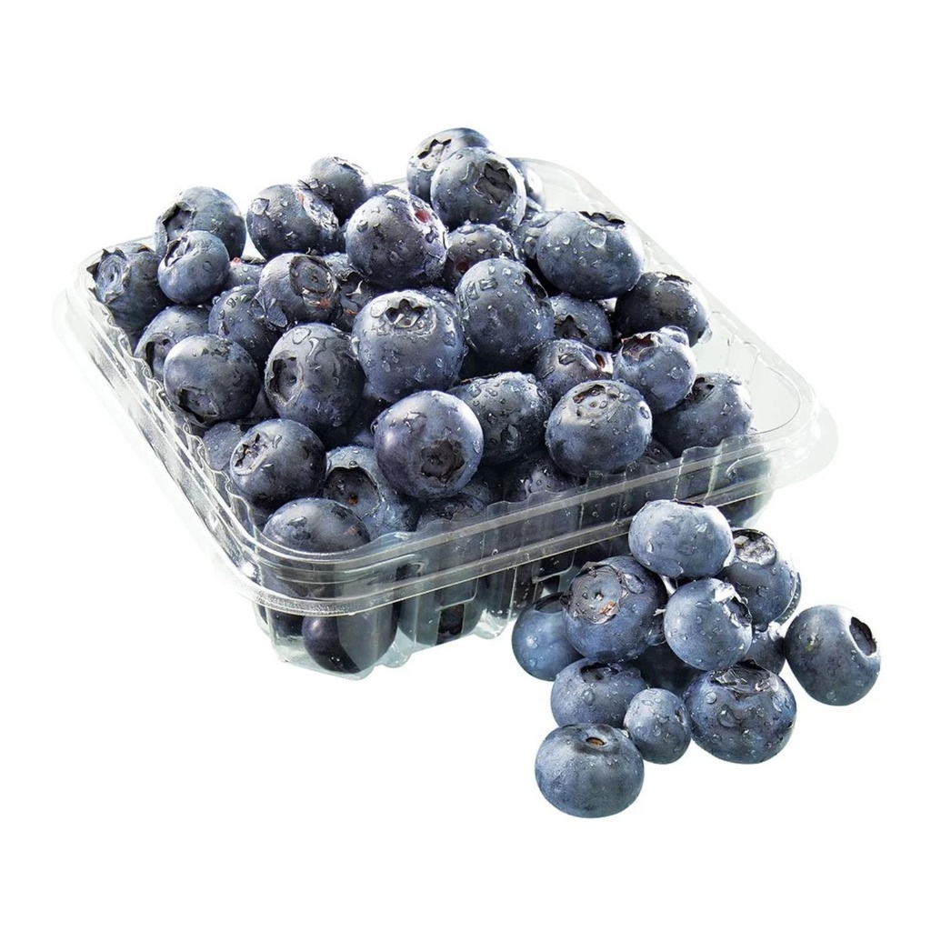 Blueberry Bio 125g POR