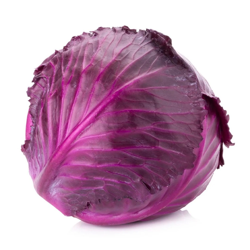 Red Cabbage Bio FRA KG