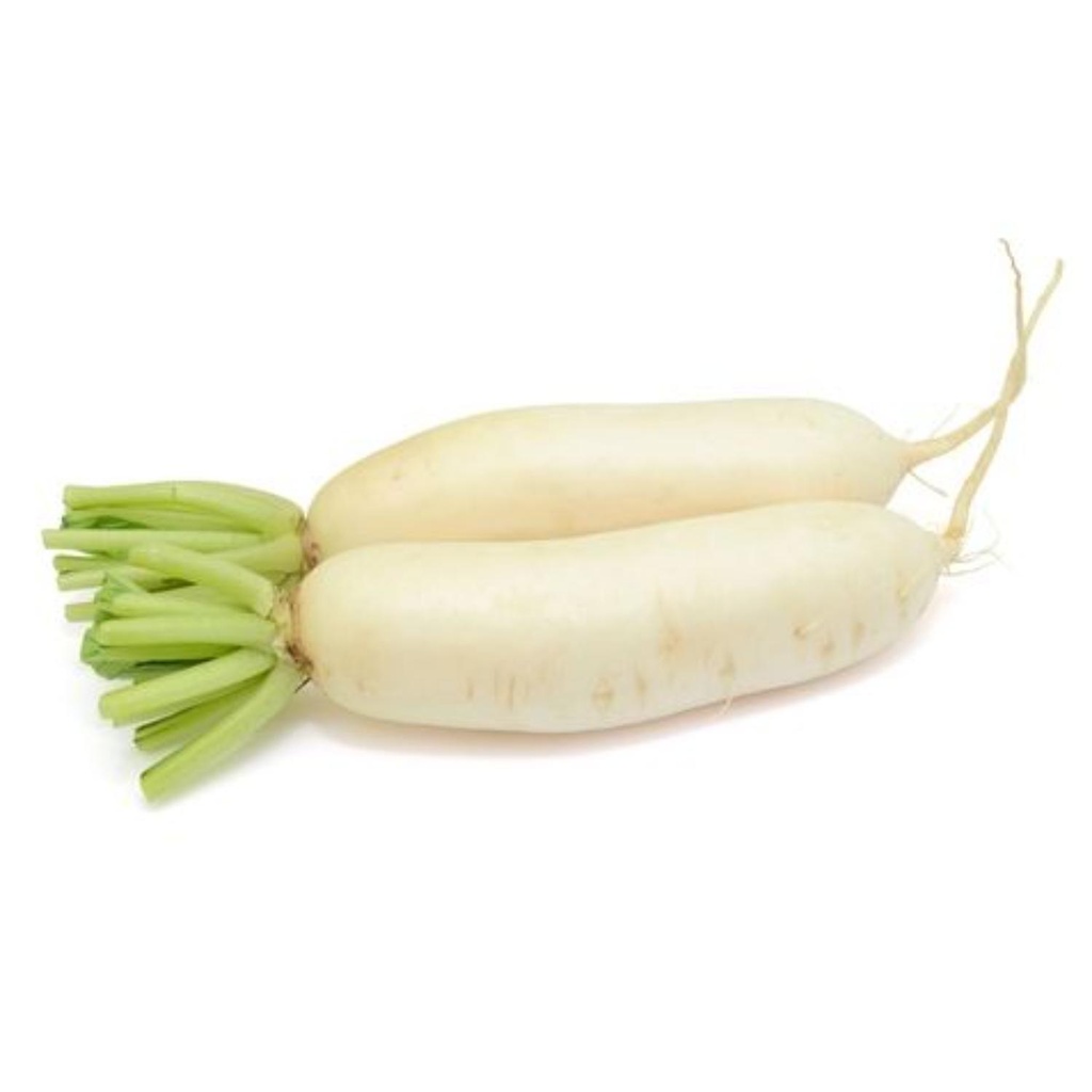 White Radish Daikon Bio FRA KG