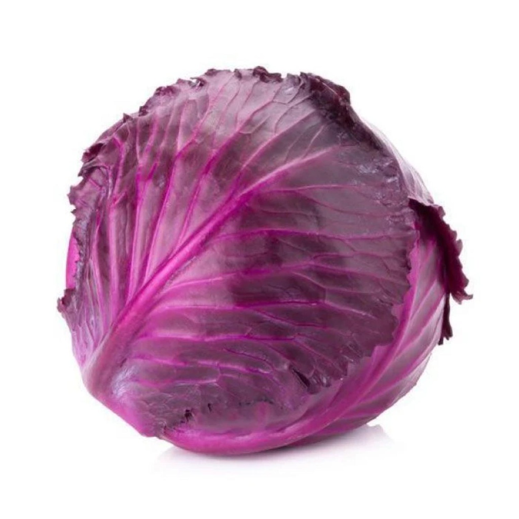 Organic Cabbage Red LEB KG