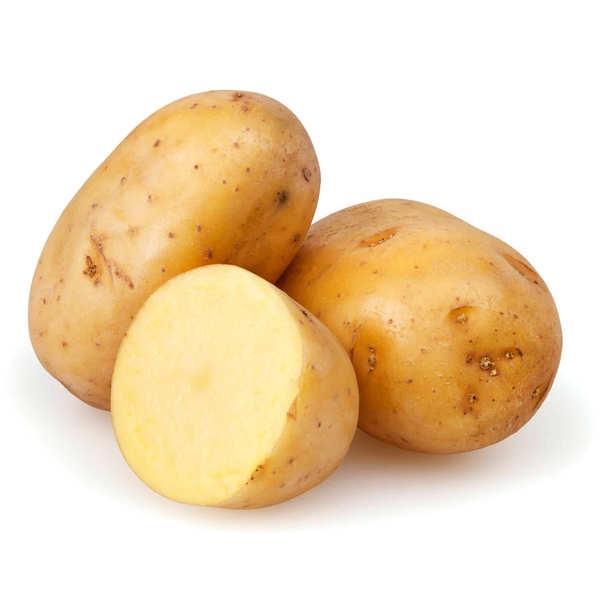 Organic Potato LEB KG