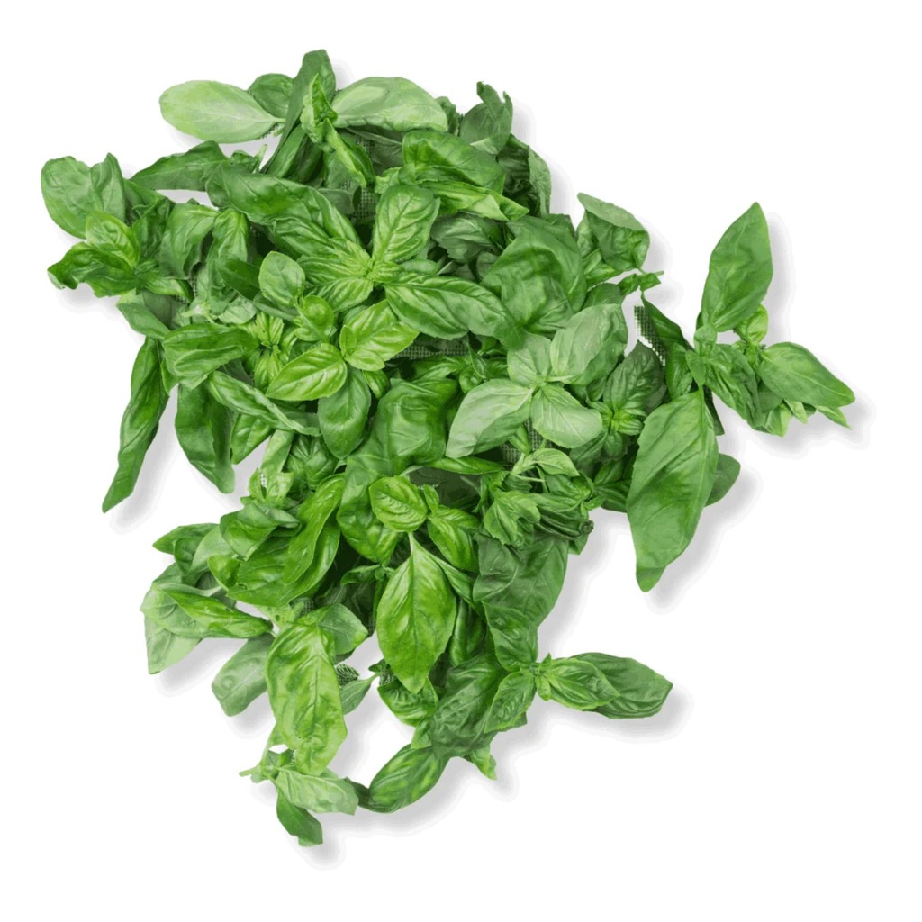 Organic Basil UAE KG