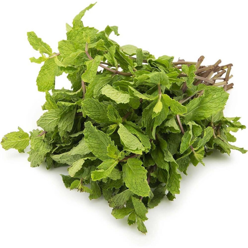 Organic Mint UAE KG