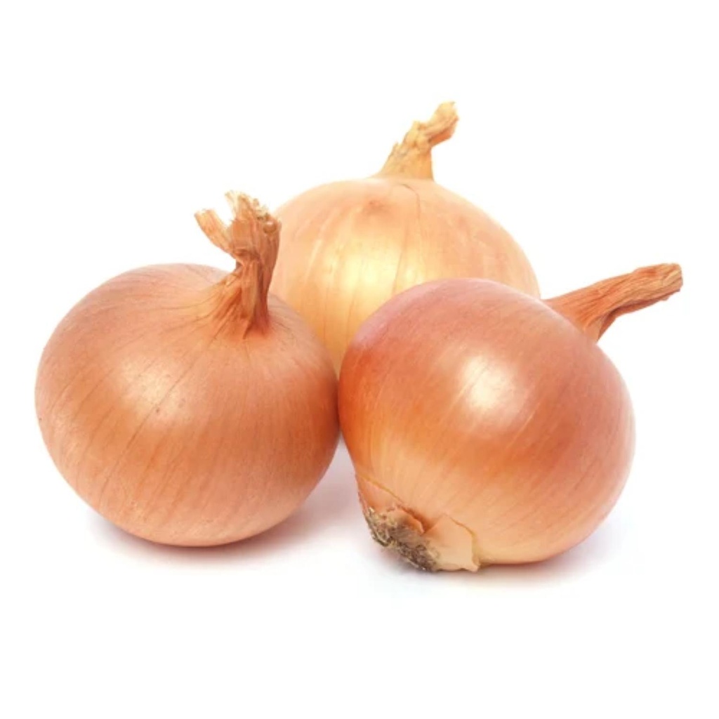 Organic Brown Onion LEB KG