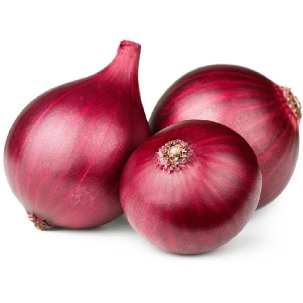 Organic Red Onion LEB KG