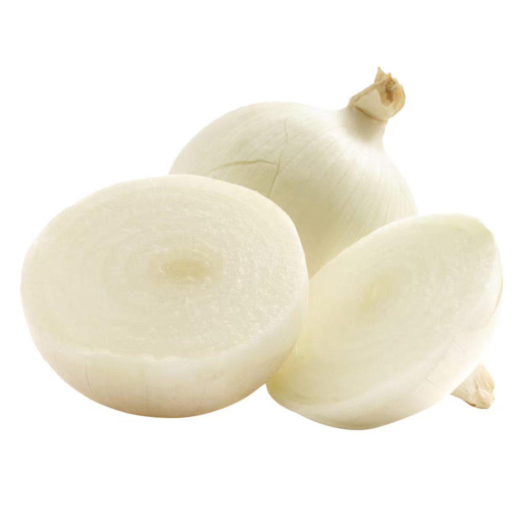 Organic White Onion LEB KG