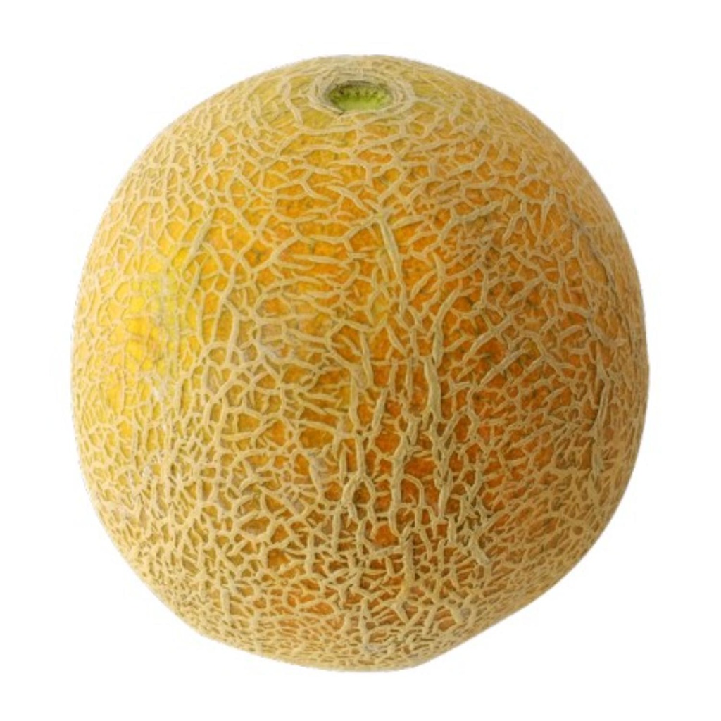 Organic Muskmelon LEB KG