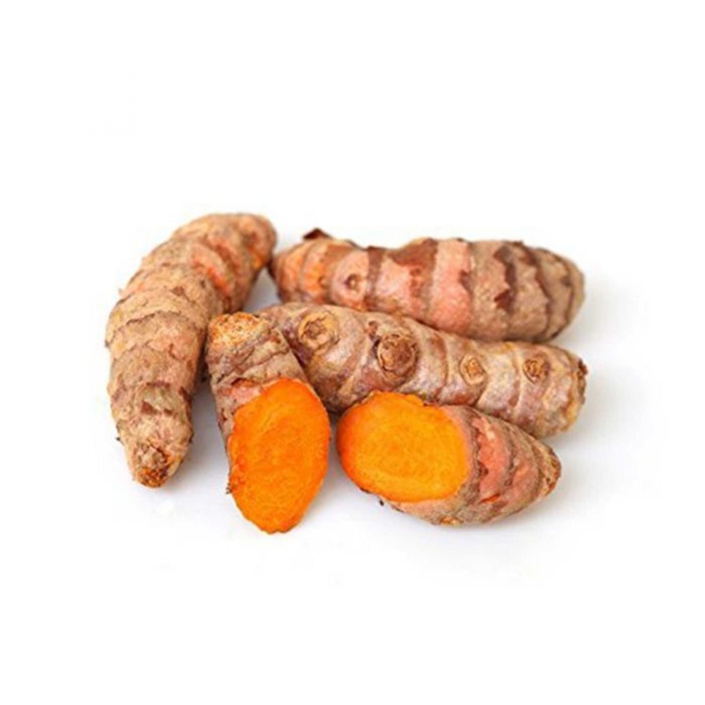 Turmeric Bio PE KG