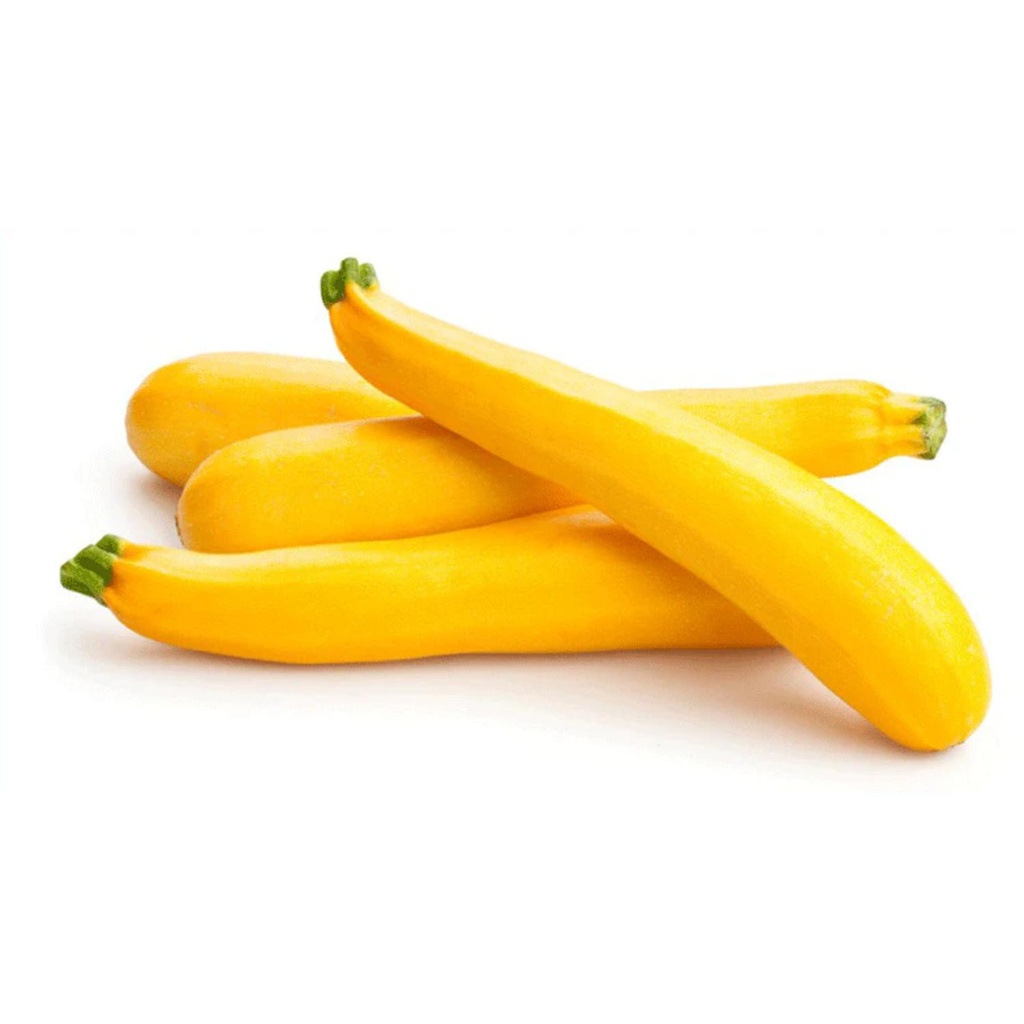 Courgette Yellow Bio FRA