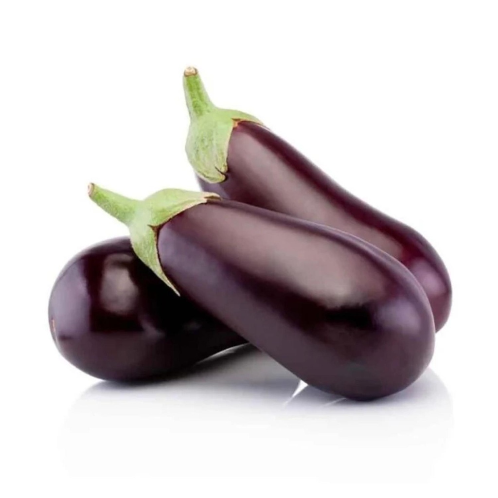 Aubergine Half Long Bio ESP