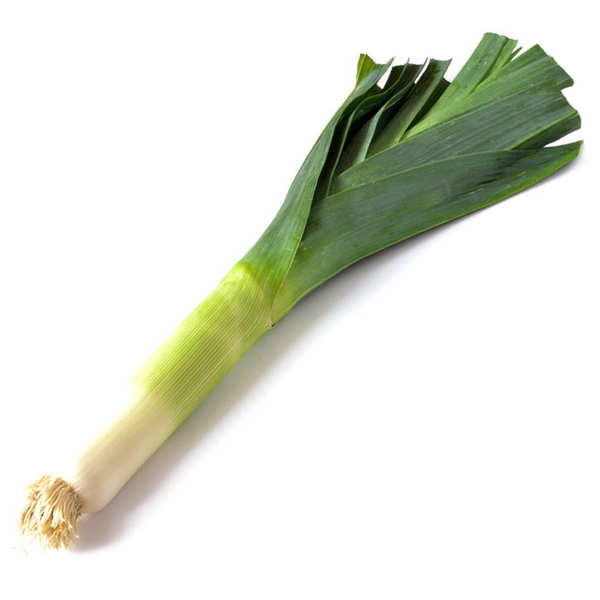 Organic Leeks LEB KG