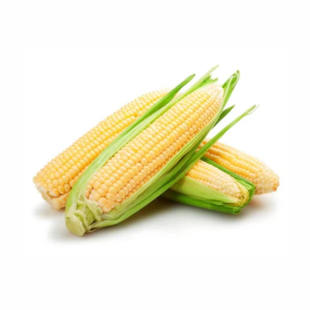 Organic Sweetcorn IND KG