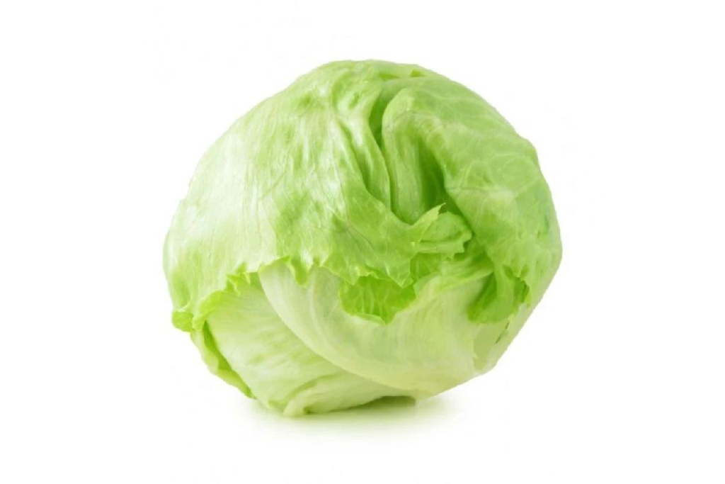 Organic Iceberg Lettuce LEB KG