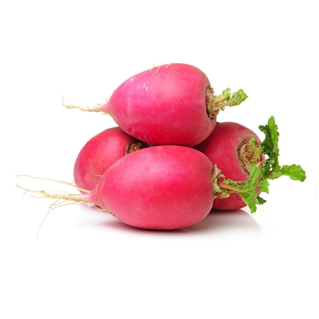 Organic Red Radish LEB KG