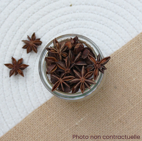 Star Anise - 1Kg - Actibio