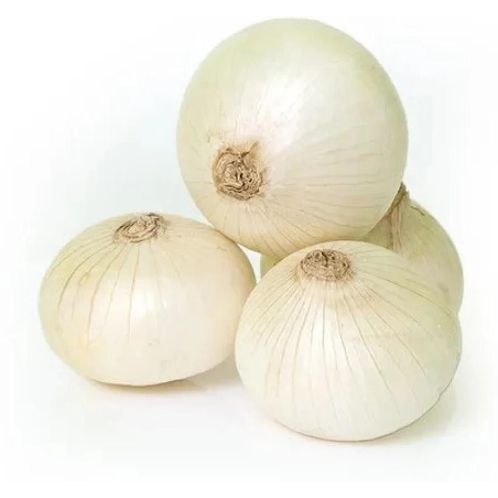 Onion White Bio Bunch Sc FRA PCS