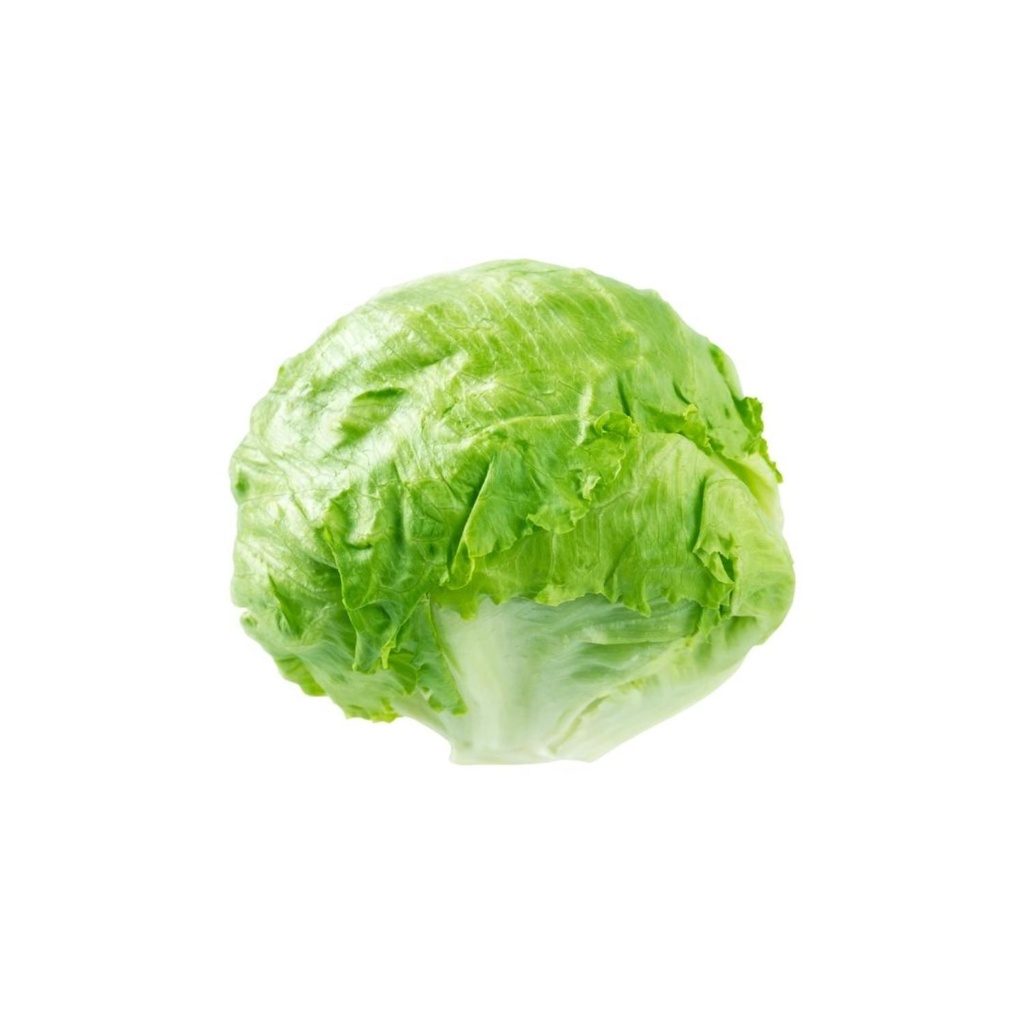 Iceberg Lettuce Bio FRA PCS