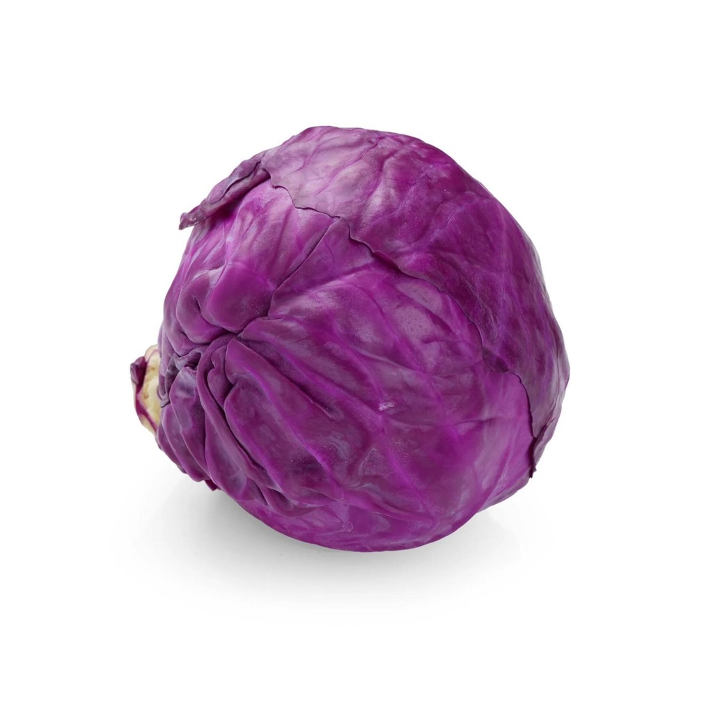 Cabbage Red Bio NL KG