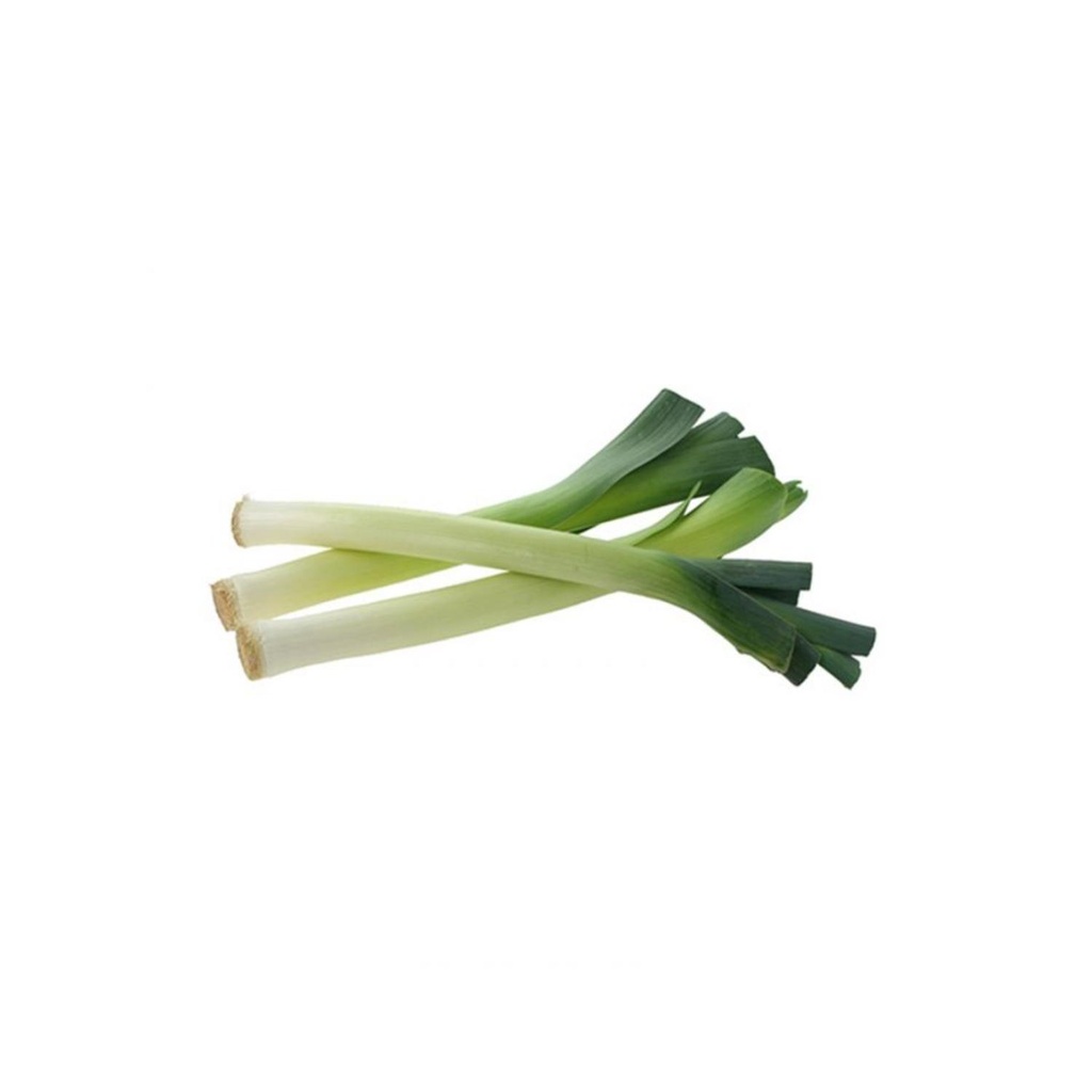 [0001496] Leek Bio FRA KG