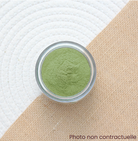 Wild Garlic Powder (Flower Variety)