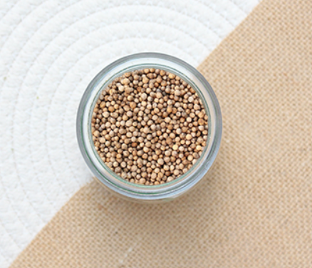 Coriander (Seeds)