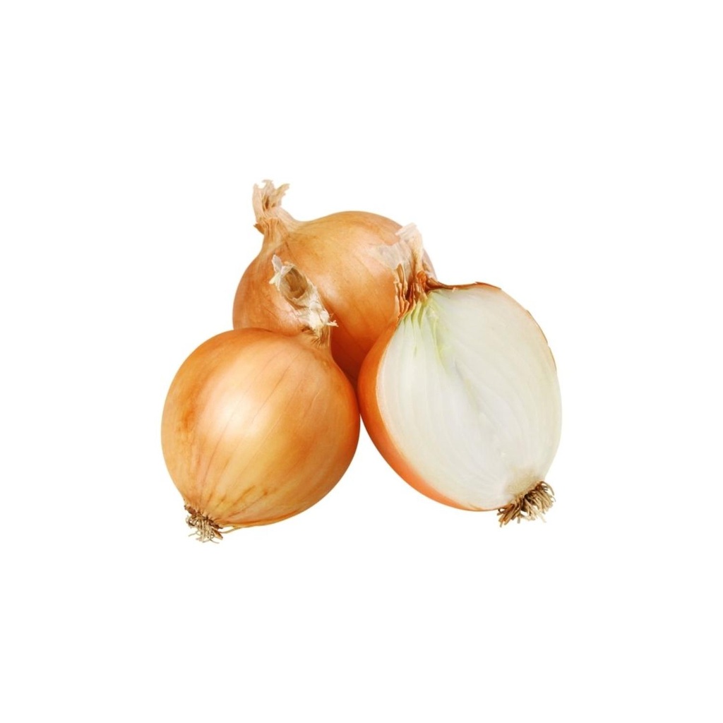 Onion Yellow Bio FRA